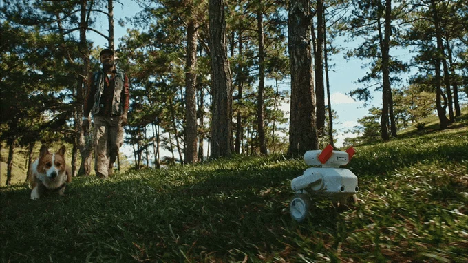 Beni following a person and dog through a wooded park