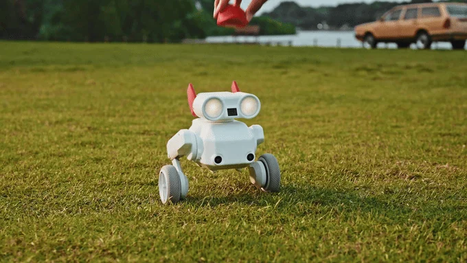 Beni camera robot standing on grass
