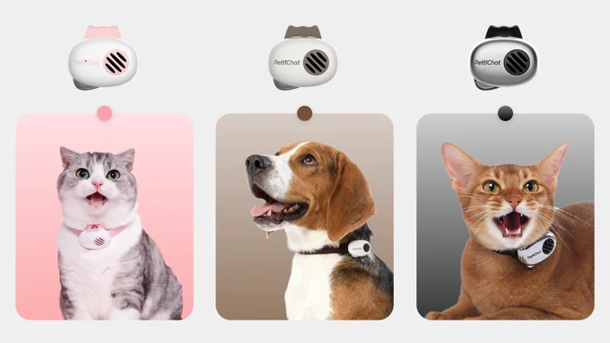 Two cats and a dog wearing pink, white, and black PettiChat collar devices.