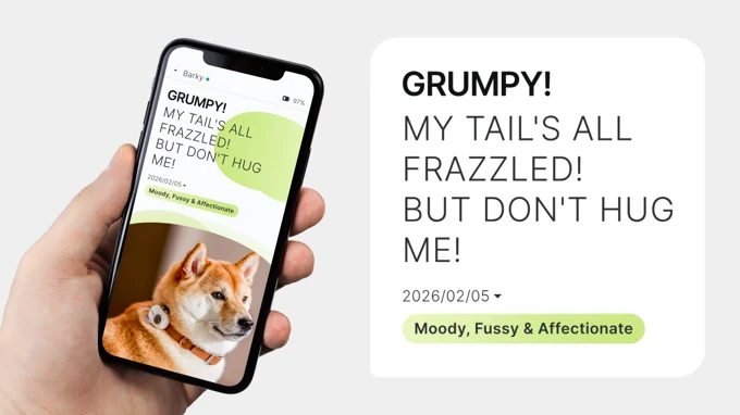 A PettiChat phone screen displaying a dated dog entry with a generated sentence and mood tags.