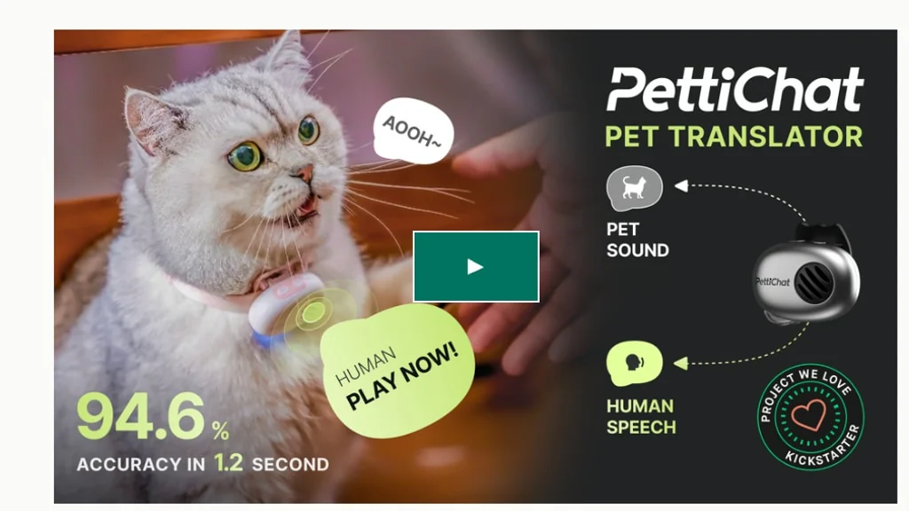 PettiChat Kickstarter hero showing a cat wearing the translator beside the collar device and a translation graphic.