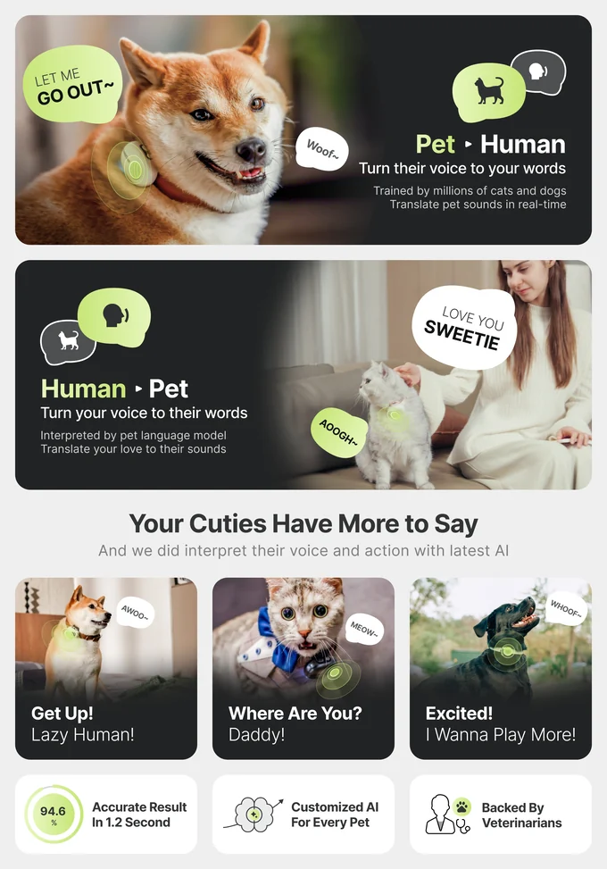 Campaign graphic showing PettiChat translating from a dog to a person and from a person to a cat.