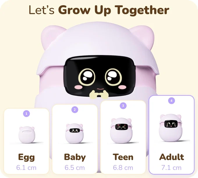 Sweekar shown as an egg, baby, teen, and adult at four increasing heights